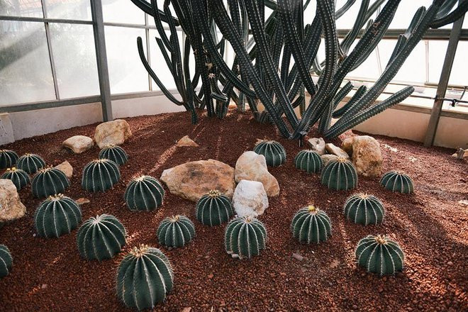 6 địa điểm cực thú vị ở Chiang Mai mà bạn nhất định phải ghé thăm