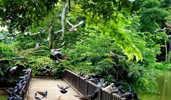 6 địa điểm cực thú vị ở Chiang Mai mà bạn nhất định phải ghé thăm