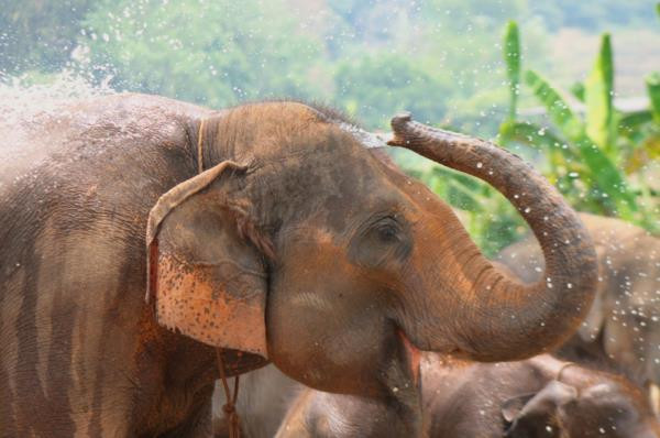 6 địa điểm cực thú vị ở Chiang Mai mà bạn nhất định phải ghé thăm