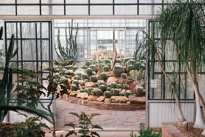 6 địa điểm cực thú vị ở Chiang Mai mà bạn nhất định phải ghé thăm