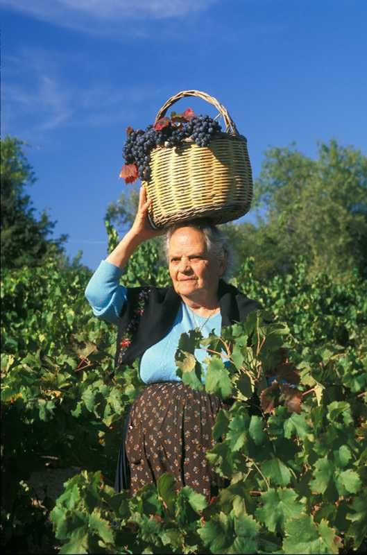 'Xiêu lòng' khi ngắm các đồng hoa tuyệt đẹp nổi tiếng trên thế giới