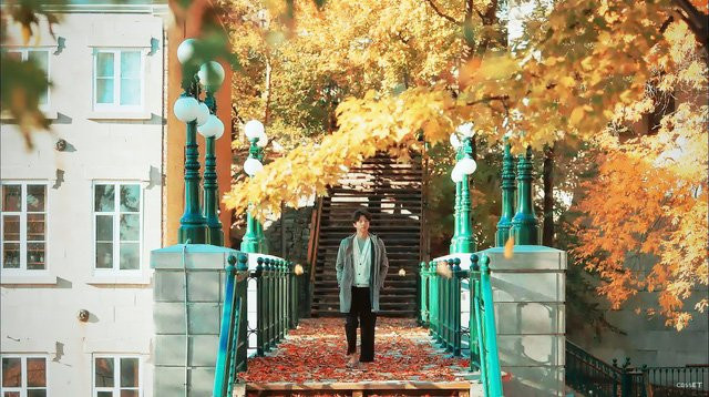 'Xiêu lòng' khi ngắm các đồng hoa tuyệt đẹp nổi tiếng trên thế giới