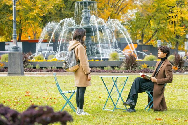 'Xiêu lòng' khi ngắm các đồng hoa tuyệt đẹp nổi tiếng trên thế giới