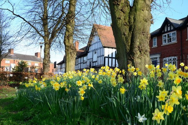 'Xiêu lòng' khi ngắm các đồng hoa tuyệt đẹp nổi tiếng trên thế giới