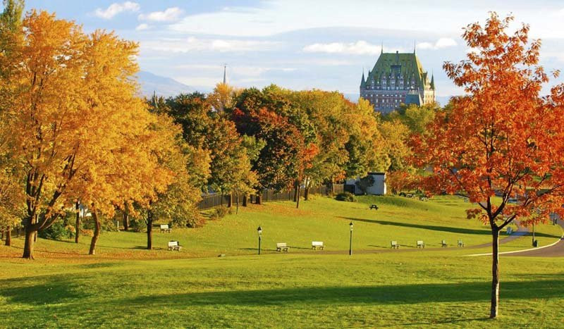 'Xiêu lòng' khi ngắm các đồng hoa tuyệt đẹp nổi tiếng trên thế giới