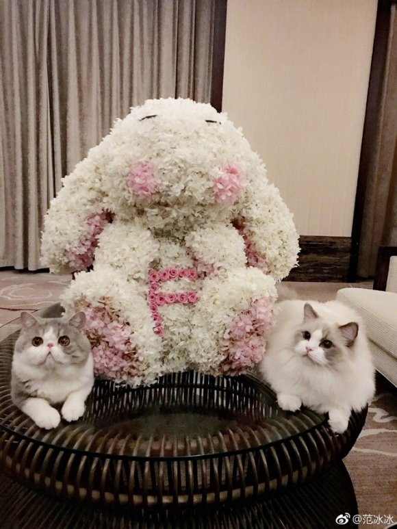 Nhìn lại chuyện tình ngọt ngào của Phạm Băng Băng và Lý Thần