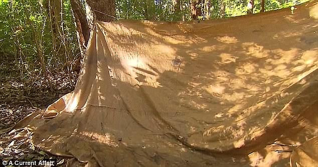 Kiểm tra điện thoại, vợ chết lặng phát hiện những bức hình tố cáo tội ác chồng