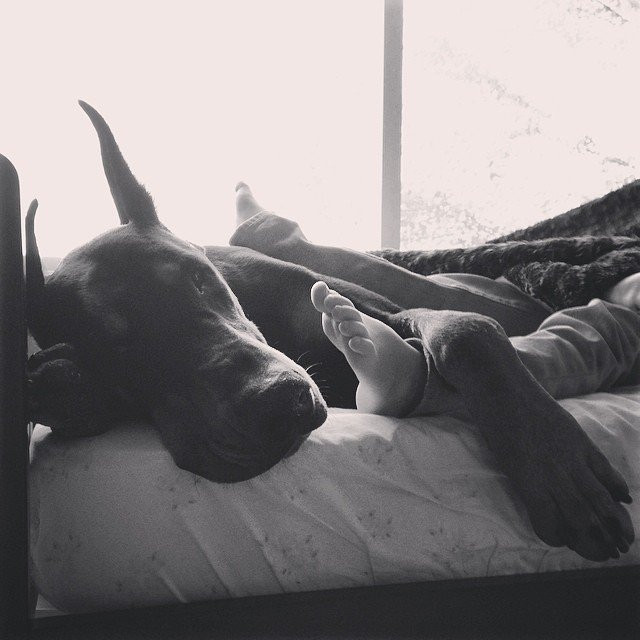 Loạt ảnh xinh xắn khiến bạn muốn có ngay một đứa con gái