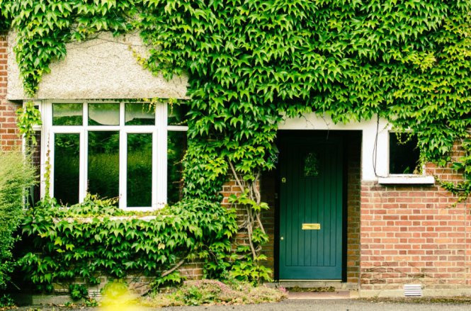 Mách bạn những giải pháp hiệu quả chống nóng cho nhà mái tôn