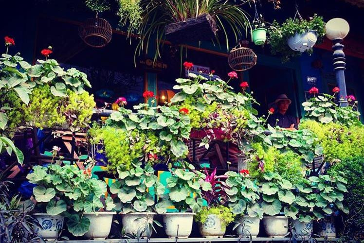 Đã mất công đến Sapa, đừng quên check-in những quán cà phê tuyệt đẹp này