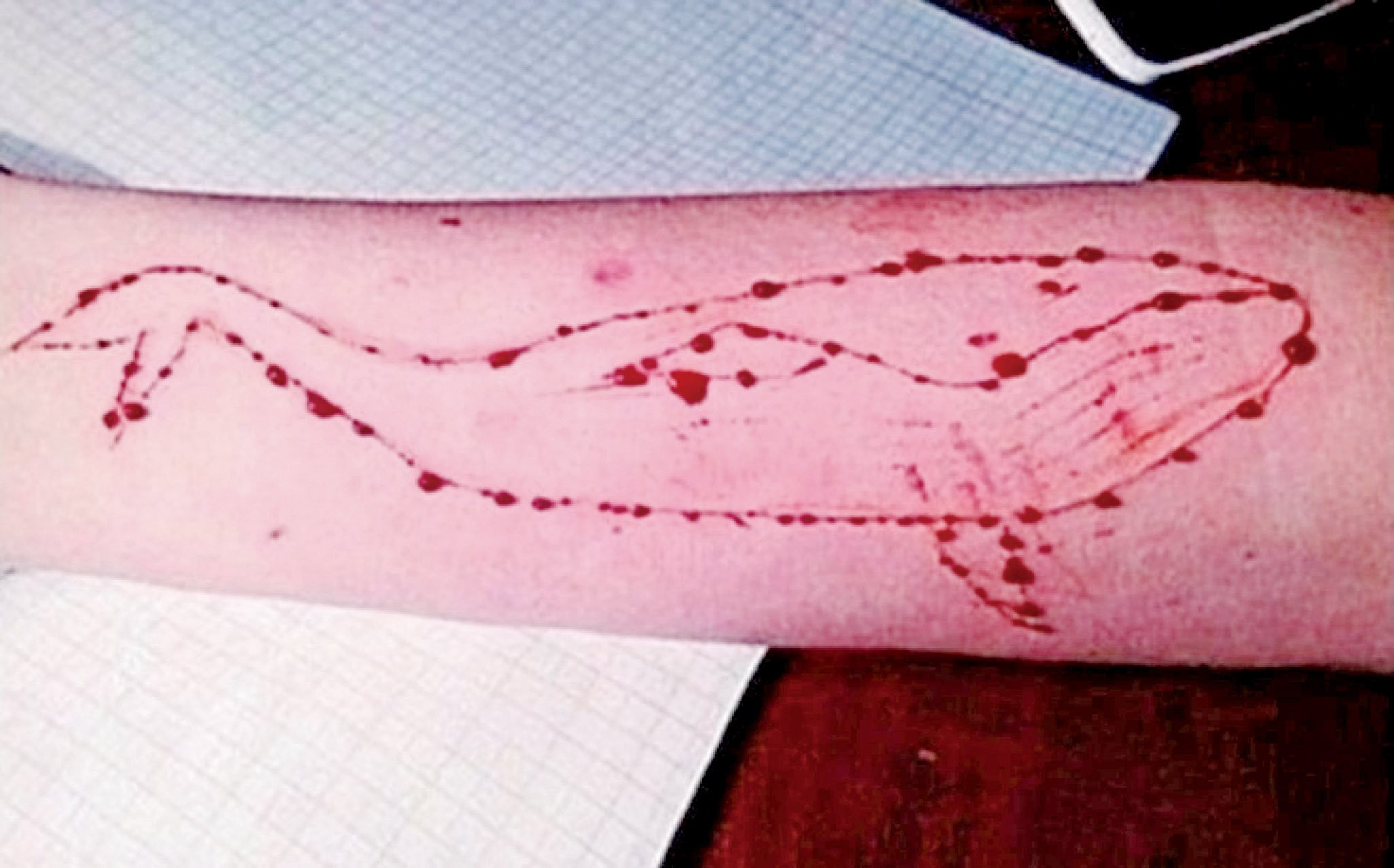 Cá voi xanh: Trò chơi quái quỷ đang đe dọa tính mạng của giới trẻ