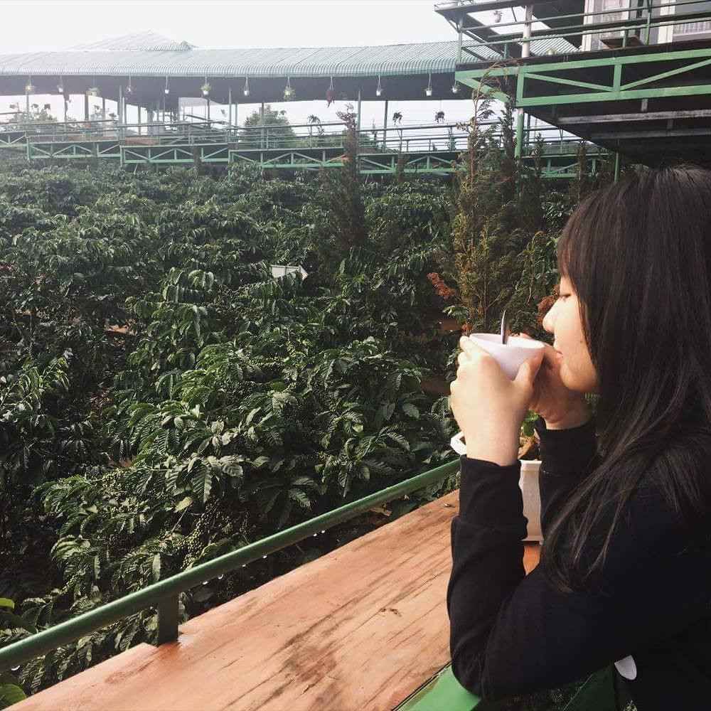 Phí cả chuyến đi Đà Lạt nếu không check-in tại những địa điểm 'sống ảo' đang hot này