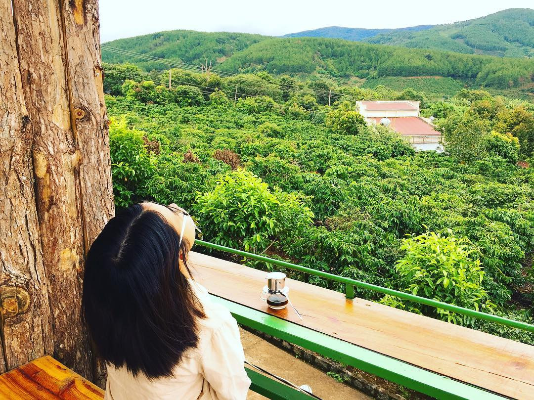 Phí cả chuyến đi Đà Lạt nếu không check-in tại những địa điểm 'sống ảo' đang hot này