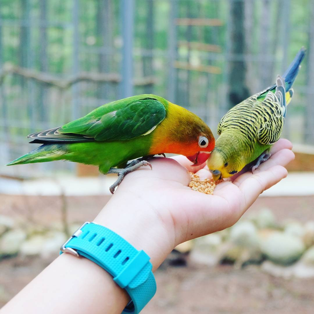 Phí cả chuyến đi Đà Lạt nếu không check-in tại những địa điểm 'sống ảo' đang hot này