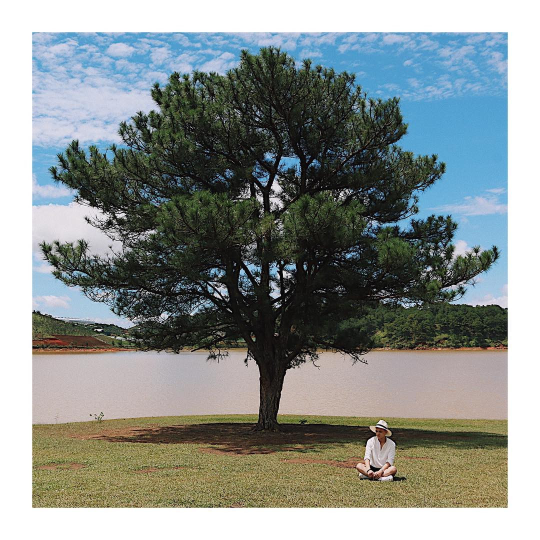 Phí cả chuyến đi Đà Lạt nếu không check-in tại những địa điểm 'sống ảo' đang hot này