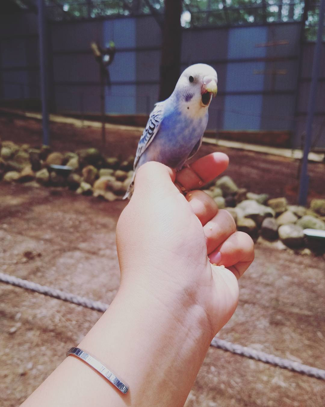 Phí cả chuyến đi Đà Lạt nếu không check-in tại những địa điểm 'sống ảo' đang hot này