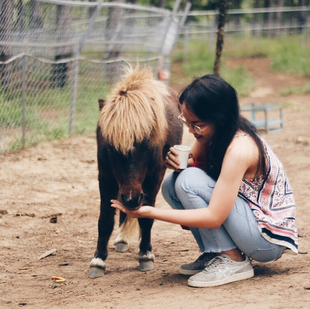Phí cả chuyến đi Đà Lạt nếu không check-in tại những địa điểm 'sống ảo' đang hot này