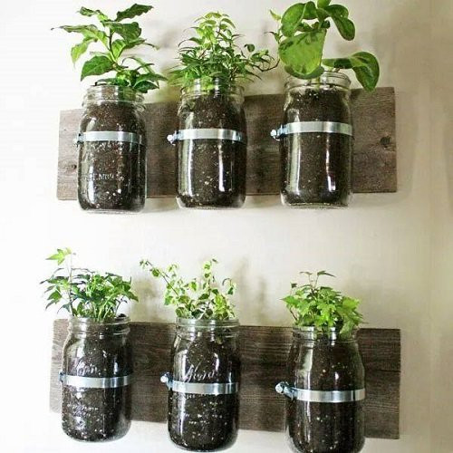 Tận dụng chai lọ bỏ đi trồng cả vườn rau xanh mướt quanh nhà