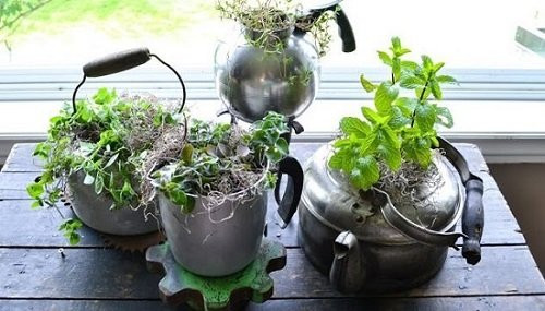 Tận dụng chai lọ bỏ đi trồng cả vườn rau xanh mướt quanh nhà