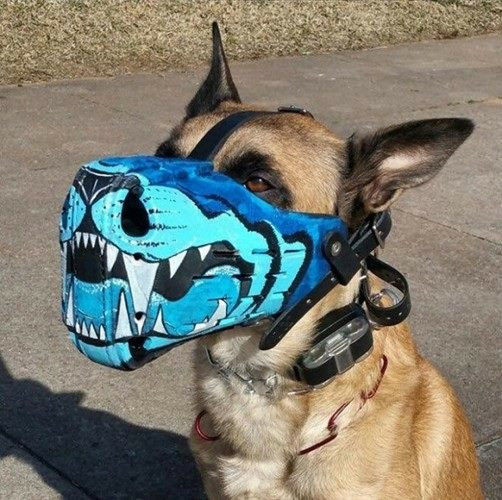 Chết cười với loạt mẫu thiết kế hài hước để 'rọ mõm' cho chó cưng