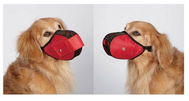 Chết cười với loạt mẫu thiết kế hài hước để 'rọ mõm' cho chó cưng