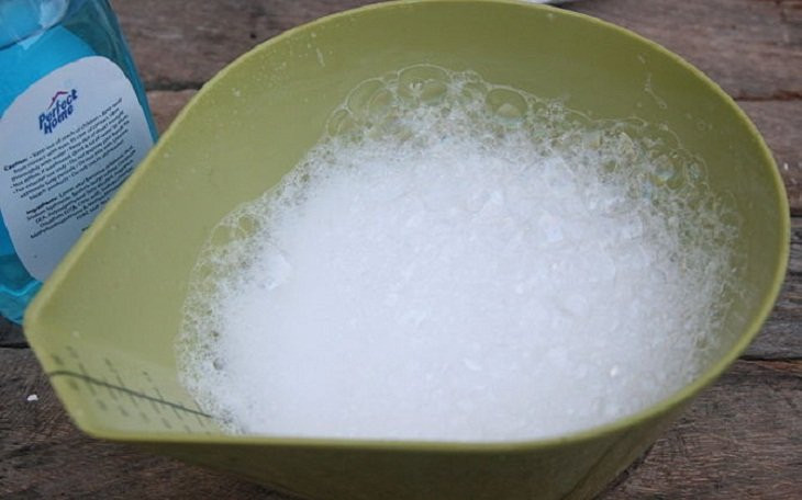 Mẹo hay khiến lũ côn trùng bẩn thỉu sẽ biến mất khỏi nhà bạn trong nháy mắt