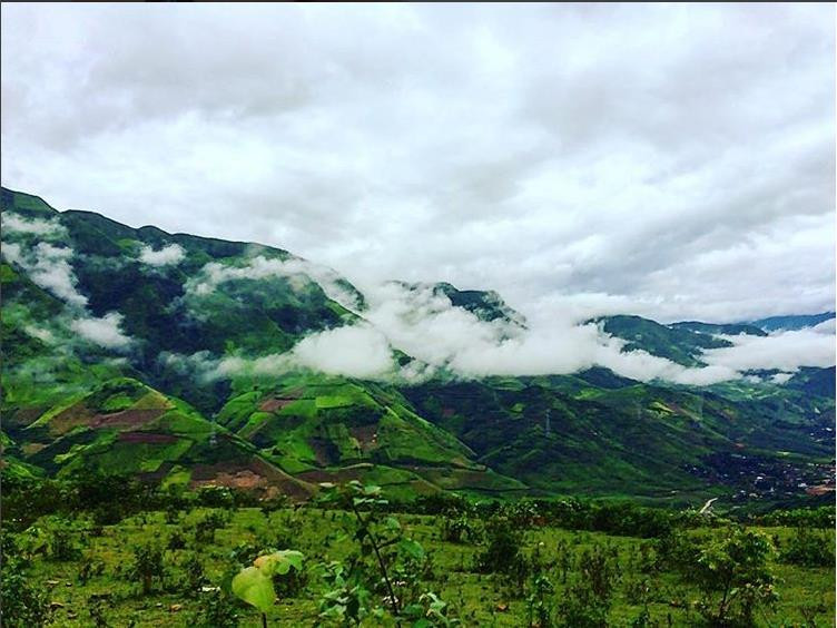 Tháng 9 này, đừng quên check in đồi chè Mộc Châu xanh mướt mát