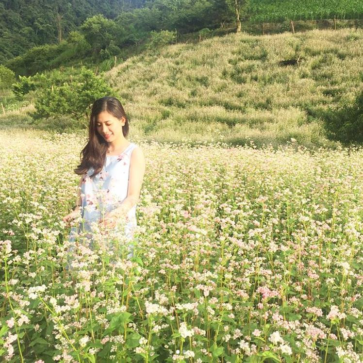 Tháng 9 này, đừng quên check in đồi chè Mộc Châu xanh mướt mát