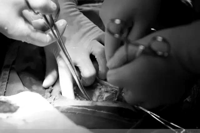 Tận mắt chứng kiến ca sinh mổ chân thật đến từng chi tiết mà mẹ nào cũng nên xem