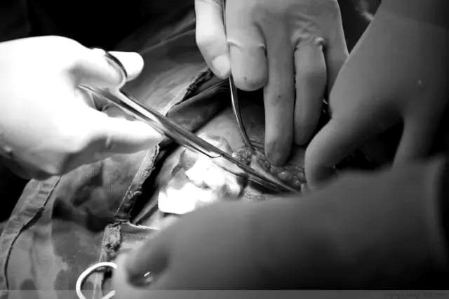 Tận mắt chứng kiến ca sinh mổ chân thật đến từng chi tiết mà mẹ nào cũng nên xem