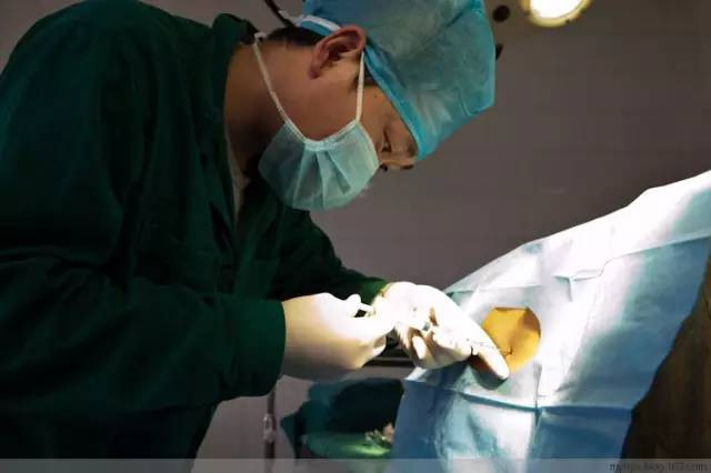 Tận mắt chứng kiến ca sinh mổ chân thật đến từng chi tiết mà mẹ nào cũng nên xem