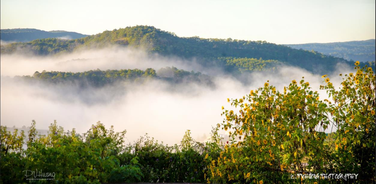 3 điểm săn hoa dã quỳ tuyệt đẹp không thể bỏ qua vào mùa thu này