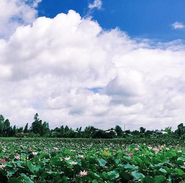 Thu sang, hãy thử trải nghiệm về với miền Tây đón mùa nước nổi