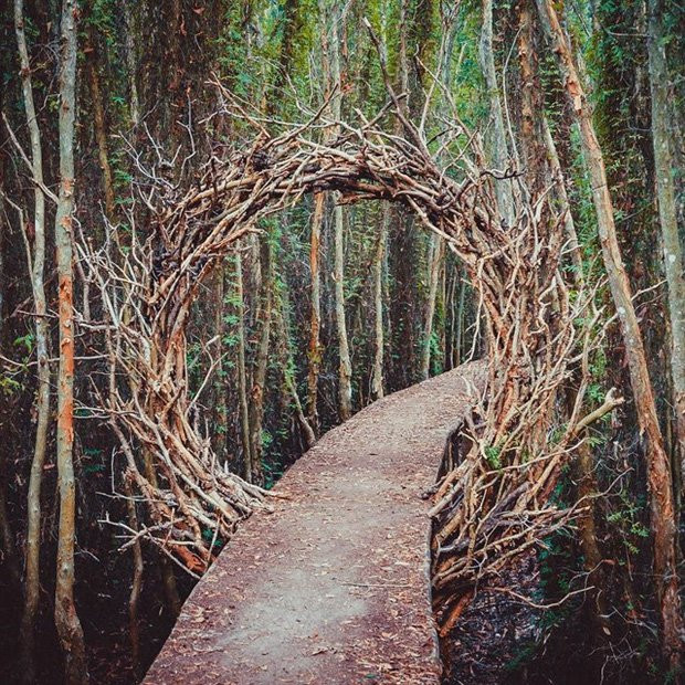 Thu sang, hãy thử trải nghiệm về với miền Tây đón mùa nước nổi