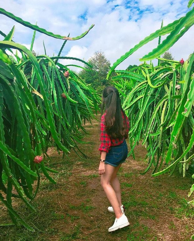 Thu sang, hãy thử trải nghiệm về với miền Tây đón mùa nước nổi