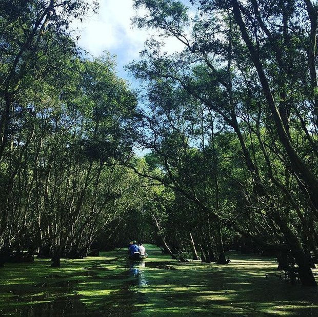 Thu sang, hãy thử trải nghiệm về với miền Tây đón mùa nước nổi