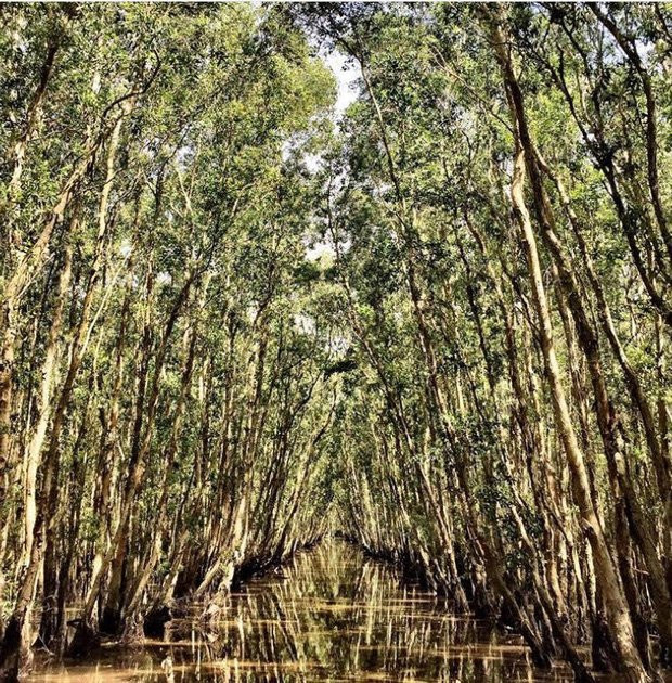 Thu sang, hãy thử trải nghiệm về với miền Tây đón mùa nước nổi