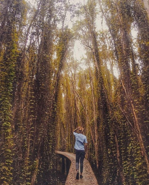 Thu sang, hãy thử trải nghiệm về với miền Tây đón mùa nước nổi