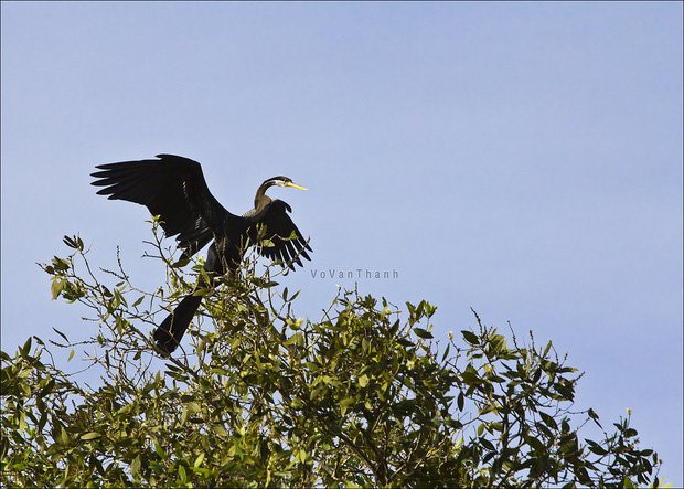 Thu sang, hãy thử trải nghiệm về với miền Tây đón mùa nước nổi