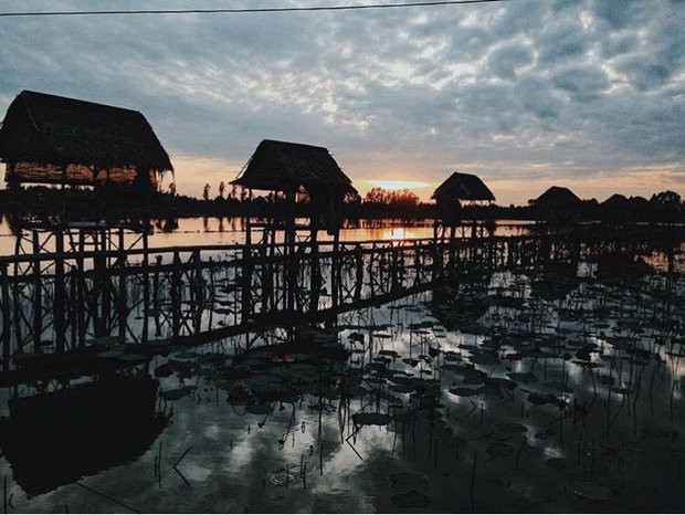 Thu sang, hãy thử trải nghiệm về với miền Tây đón mùa nước nổi