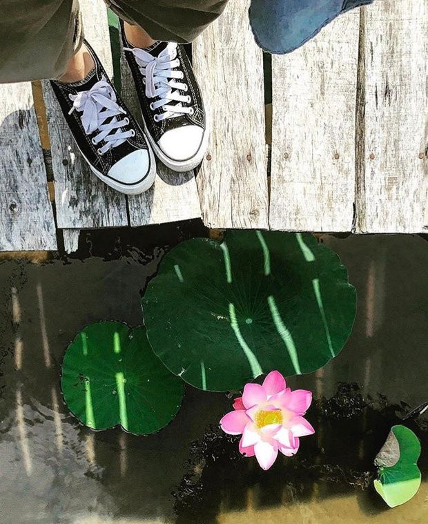 Thu sang, hãy thử trải nghiệm về với miền Tây đón mùa nước nổi