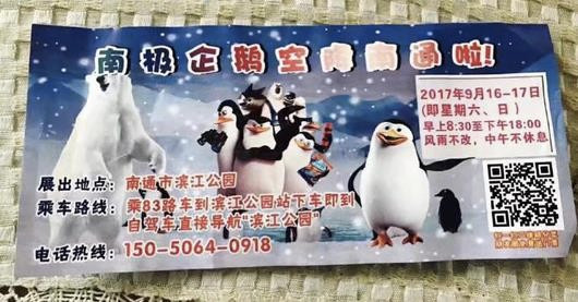 Đến công viên ngắm chim cánh cụt, các em nhỏ tá hỏa vì cái mà người ta trưng bày