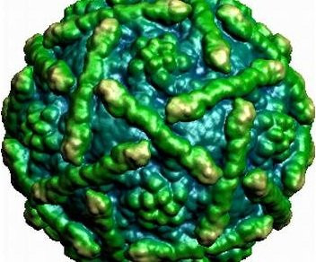 Những dấu hiệu cho thấy con bị tay chân miệng mẹ không thể xem thường