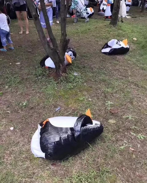 Đến công viên ngắm chim cánh cụt, các em nhỏ tá hỏa vì cái mà người ta trưng bày