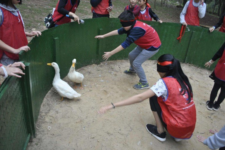 Khám phá khu sinh thái chỉ cách Hà Nội 30km giúp con trẻ trải nghiệm sinh tồn cực thú vị