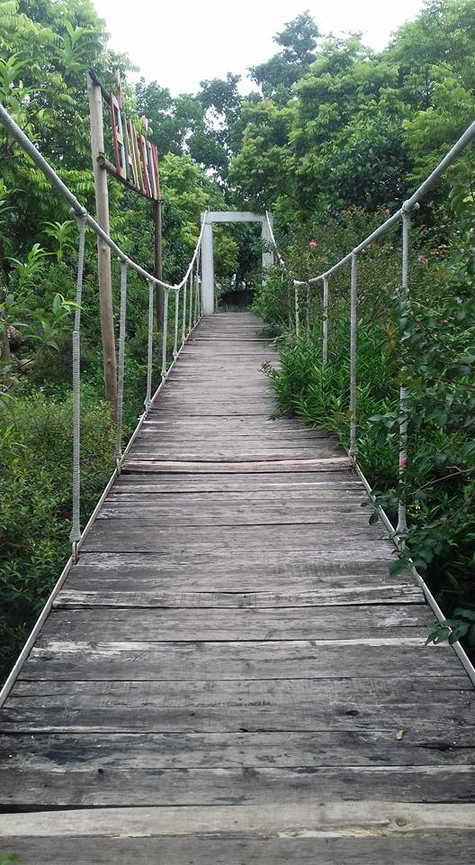 Khám phá khu sinh thái chỉ cách Hà Nội 30km giúp con trẻ trải nghiệm sinh tồn cực thú vị