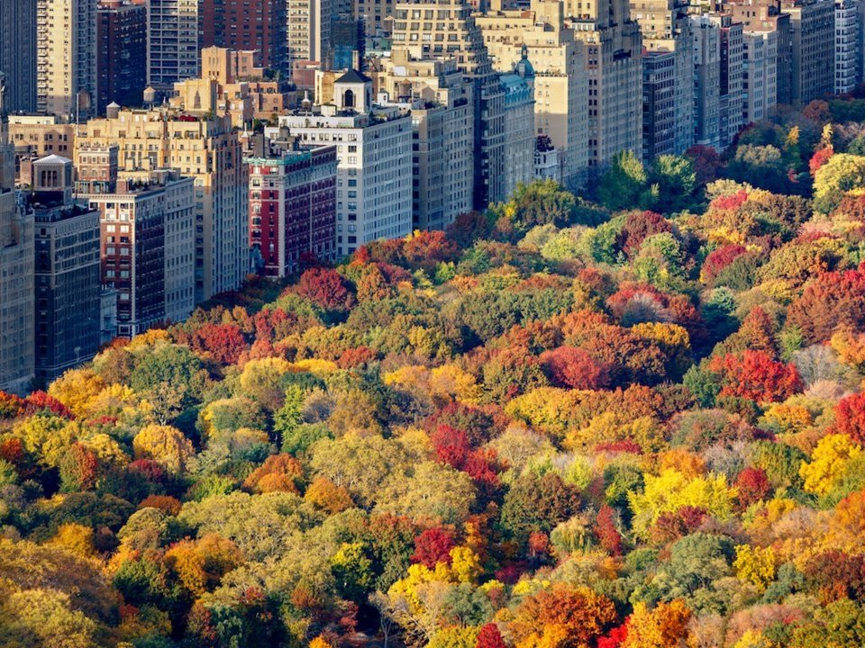 Tiếc đứt ruột nếu tháng 10 không ngắm đã mắt cảnh 'đất trời nở hoa'