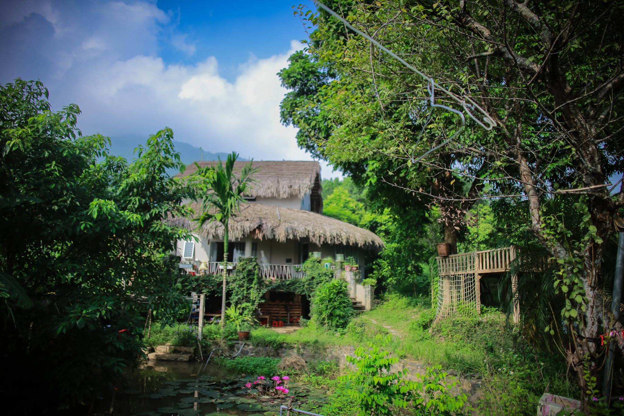 Cho bé yêu trèo đèo, lội suối, thử làm nông dân tại nông trại chỉ cách Hà Nội 40 phút