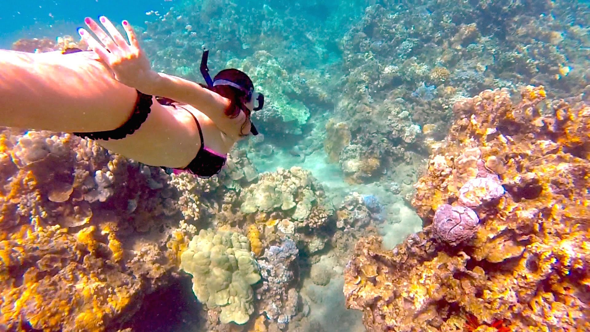 8 hòn đảo đẹp vi diệu khiến ai cũng phải ước ao được đặt chân đến một lần trong đời