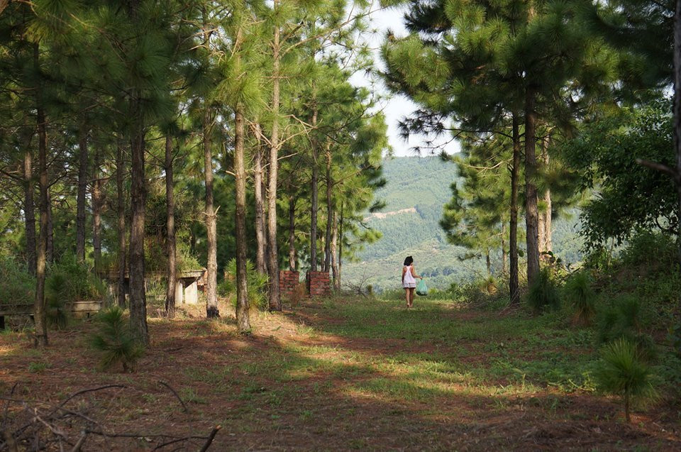 Đổi gió về Đông Triều thưởng ngoạn cảnh quê thơ mộng tại đồi Khe Chè